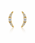 Crescent Moon Earring