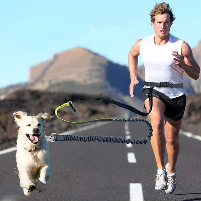 Elastic Waist Dog Leash Running Jogging Dog Sport