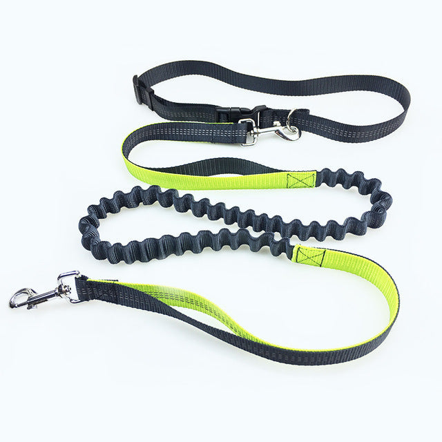 Elastic Waist Dog Leash Running Jogging Dog Sport