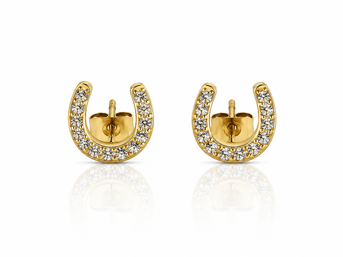 Horseshoe Stud Earring