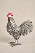 Medium Hen