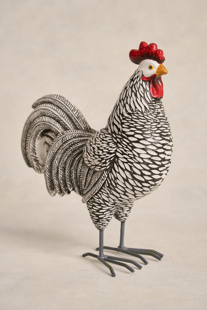 Medium Hen