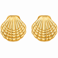 Oversized Shell Earring