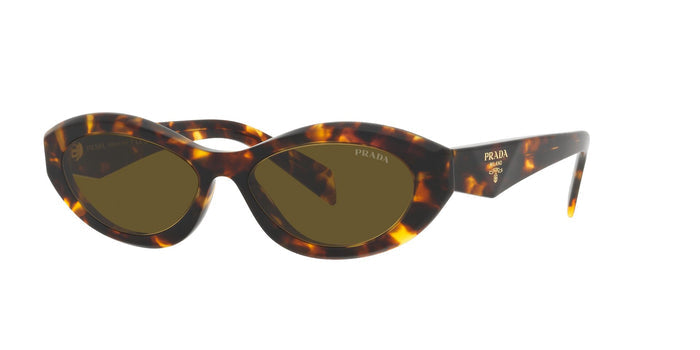 Sage-Honey Tortoise/Dark Brown / 55