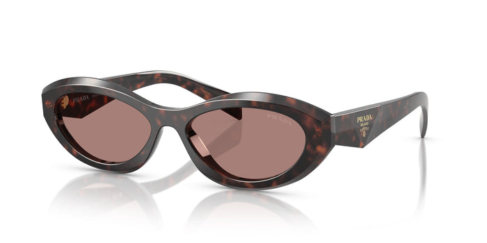 Root Tortoise/Light Brown / 55