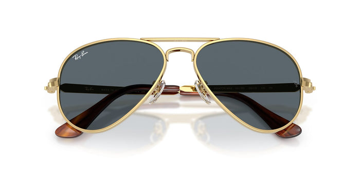 Ray-Ban Aviator Max RB 3925 001/R5 Aviator