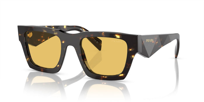 Tortoise Black Malt/Yellow / 50