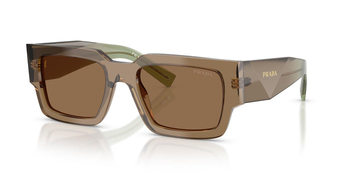 Terra/Light Brown / 54