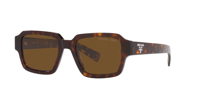 Tortoise/Polarised Brown / 52