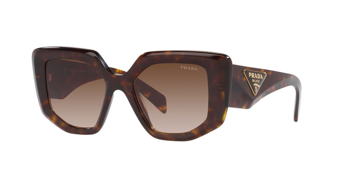 Tortoise/Brown Gradient / 50