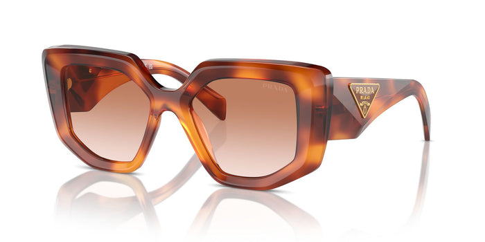 Cognac Tortoise/Brown Gradient / 50