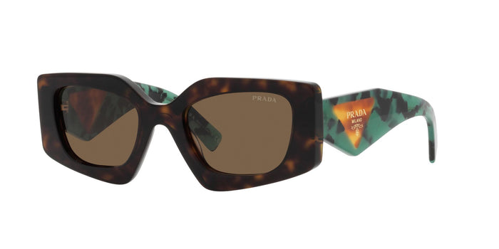 Tortoise/Dark Brown / 51