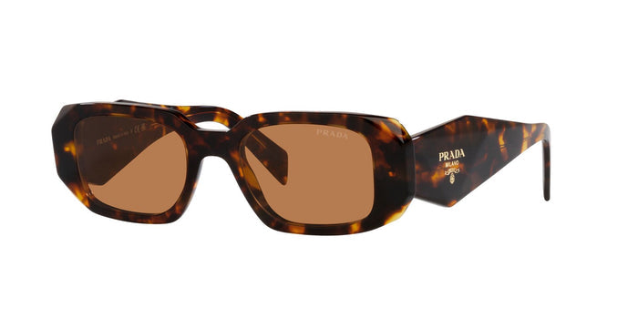 Honey Tortoise/Dark Brown / 49