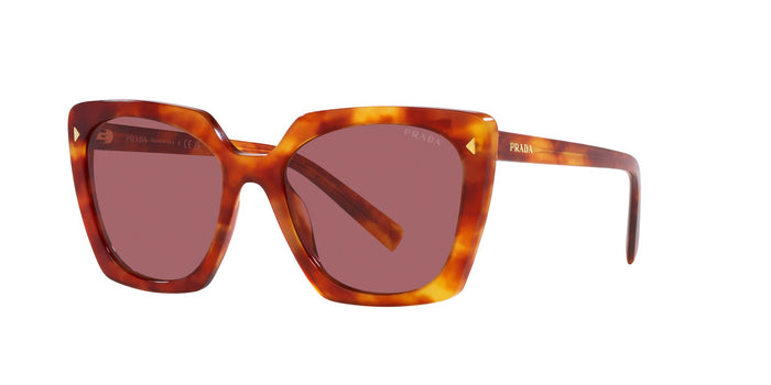Light Tortoise/Dark Violet / 54