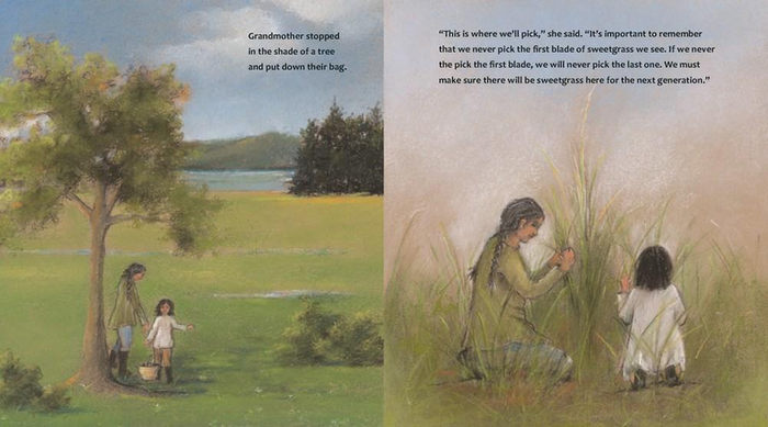 The First Blade of Sweetgrass (HC)