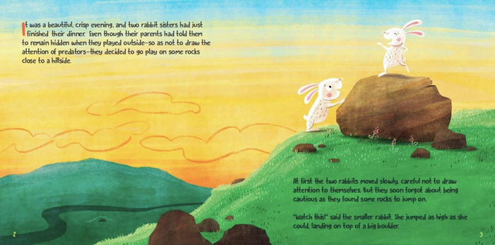 The Owl and the Two Rabbits (HC)
