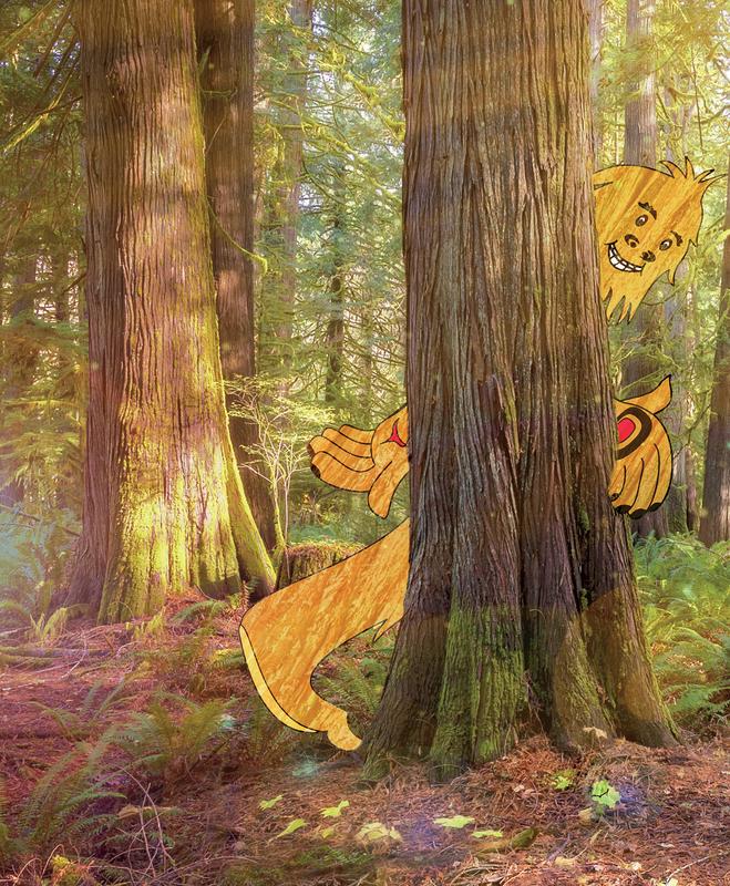 The Sasquatch, the Fire and the Cedar Baskets