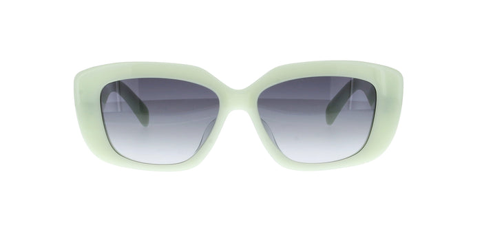 CELINE Triomphe CL40216U Square